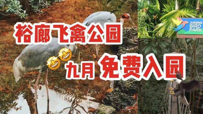 裕廊飞禽园九月免费入园！带上孩子来一场愉快的亲子游吧