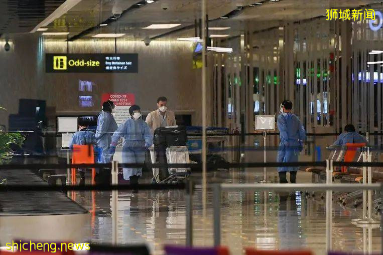 新加坡8月20日起放宽对香港澳门边境管制，截至目前已发出243张航空通行证