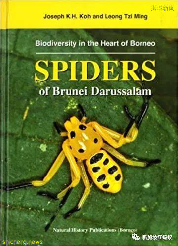他是外交家也是昆蟲專家　新加坡的“蜘蛛俠”獲頒環境最高獎