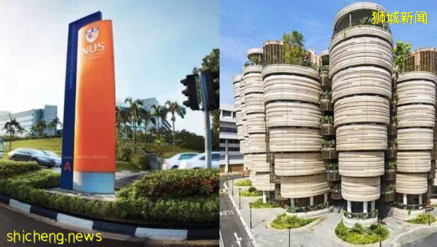 新加坡助创业公司起步,创业新手培育计划津贴增加