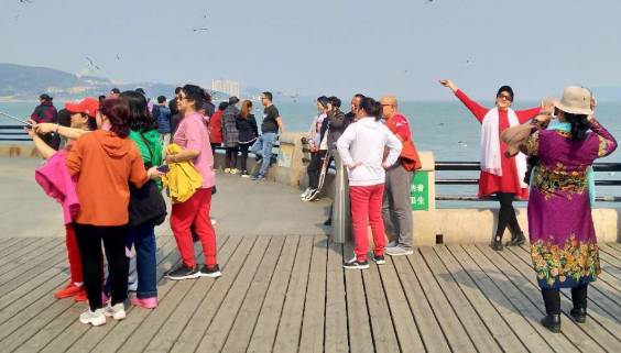 新加坡的大叔大妈真的太霸道了！！把地铁巴士都当做自己家的客厅了