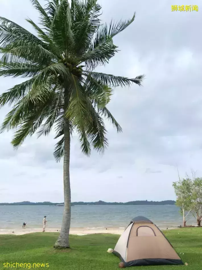 户外露营和BBQ就要重新开放啦!3月15日起可通过AXS申请