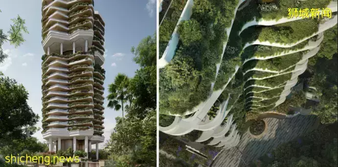 澳门赌王的女儿何超琼，豪掷$5.5亿在新加坡乌节路买房