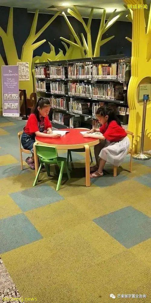 了解新加坡公立/私立/國際學校、理工/藝術/教育模式