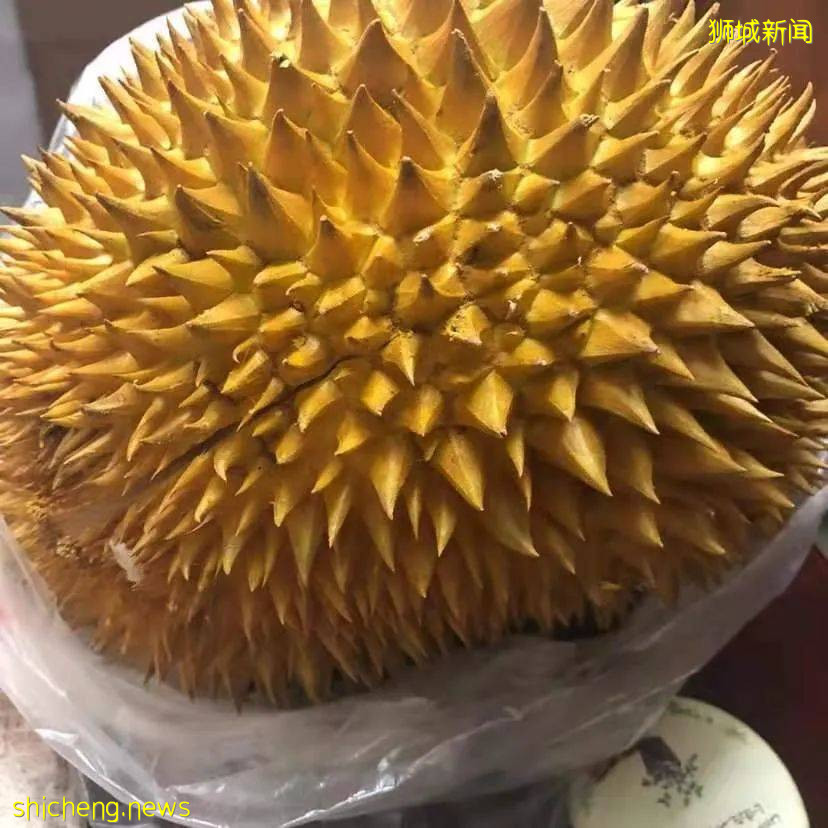 義順公園這一群人站在樹下幹嘛?等著樹上掉榴梿