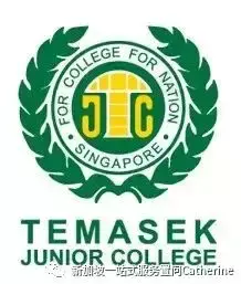 初級學院線上開放日來襲O水准之後怎樣報讀?最全介紹看過來