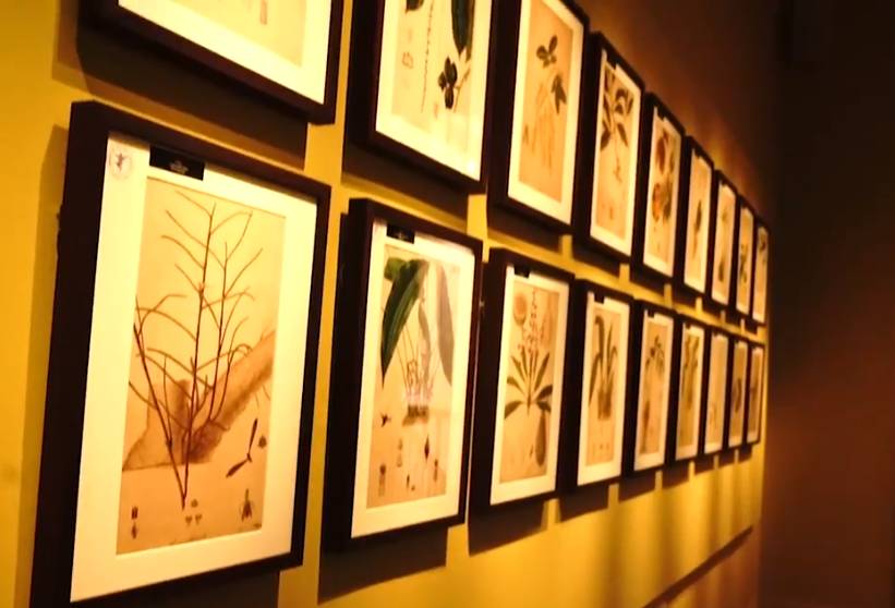 新加坡植物園爆火新景點,不知道怎麽去?手把手教你遊玩攻略