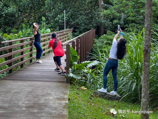 捕获野生李显龙与夫人看大海、逛公园、玩自拍
