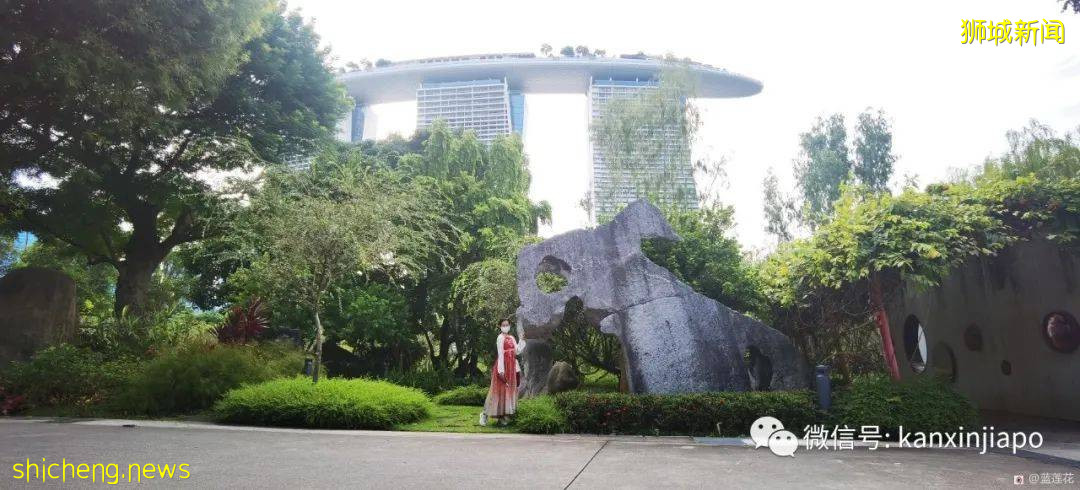 新加坡親子好去處！濱海灣～花穹～雲霧森林～空中步道半日遊