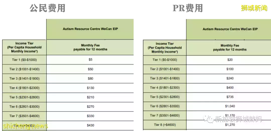 一个月两起自闭儿相关谋杀案,新加坡特需娃的妈妈想要说