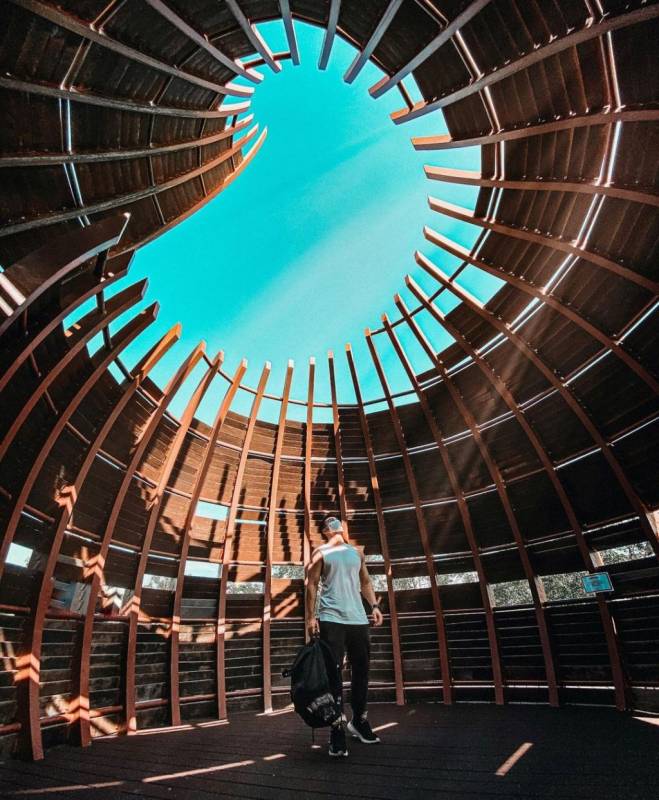 Sungei Buloh濕地保護區🌳 走進濕地，聆聽大自然的聲音🍃 徒步路線攻略、特點介紹、必踩打卡點