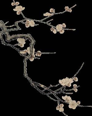 新年音乐会 北京交响乐团室内乐团 来狮城精彩呈现