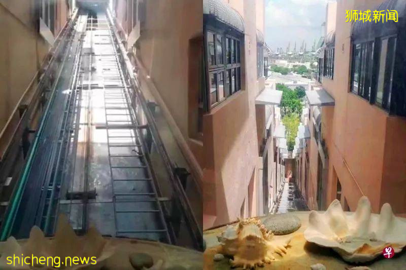 狮城公寓登山式电梯 36年后爆红