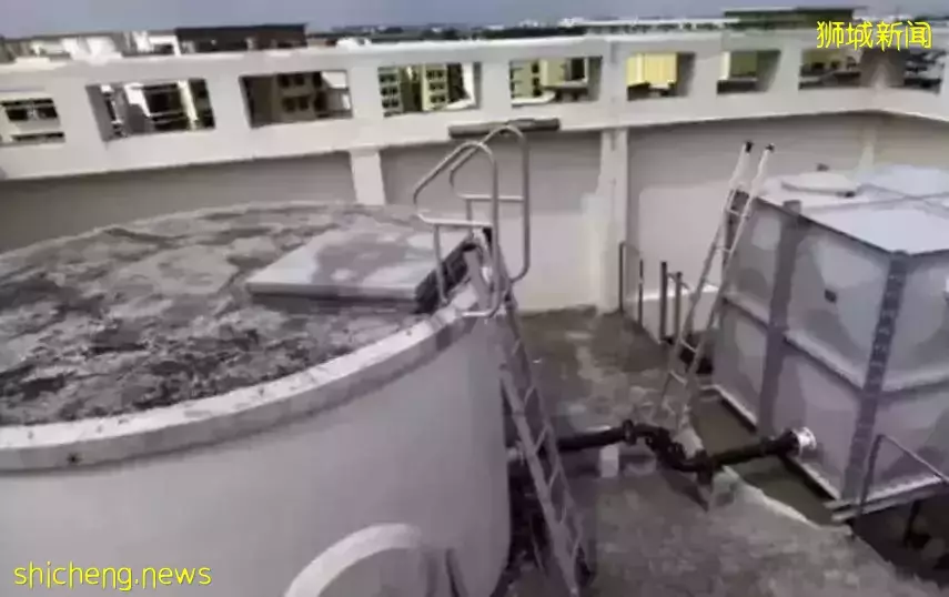 新加坡組屋“飲水箱”驚現女屍，“凶手”無罪釋放後與其閨蜜