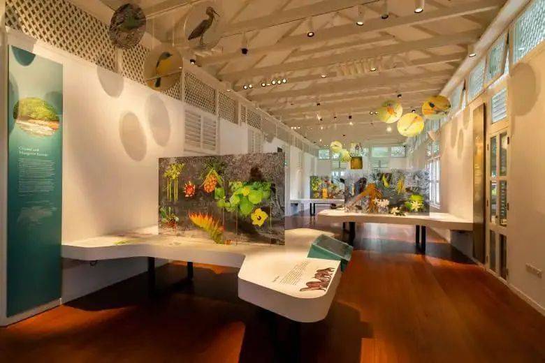 新加坡植物園3月最新兒童樂園,你肯定沒去過!16大遊玩攻略,走起