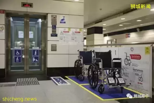 移民新加坡=被割韭菜,精英變成“下等人”!?幾十萬新移民不服氣