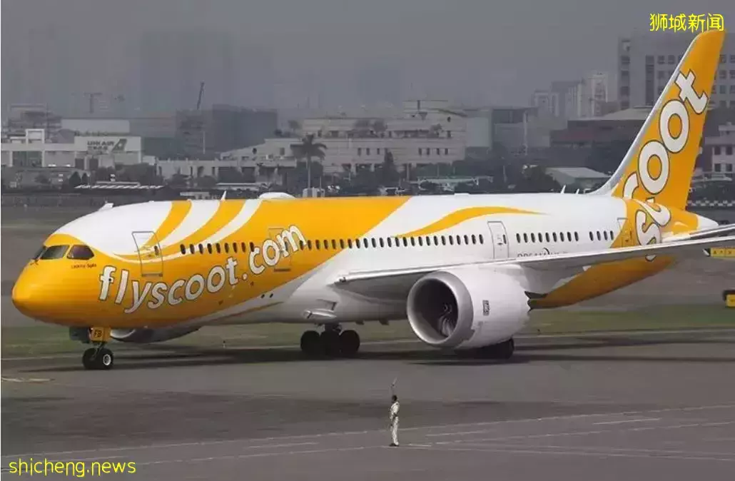 网友吐槽:新加坡机场以防疫为借口,让其和两岁的孩子只能在机场打地铺