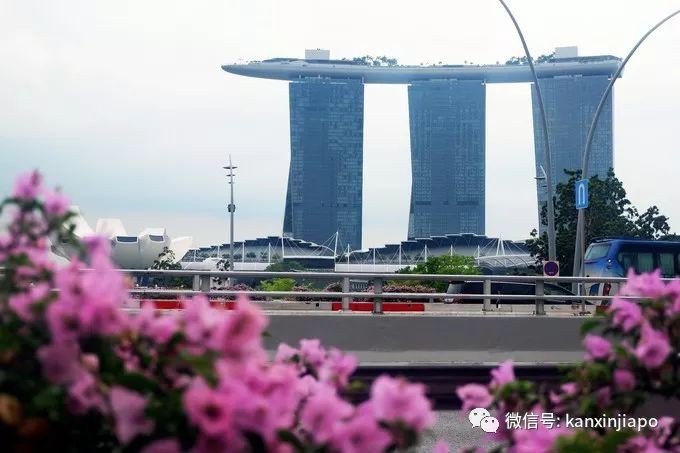新加坡这些网红打卡地，不知道就out了！