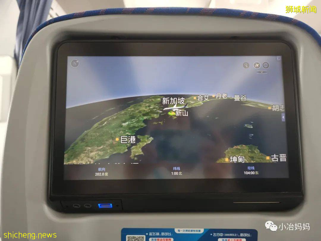 結束11年新加坡的生活!我懷孕帶著5歲的娃回了中國又移民澳洲!這瘋狂又神奇的旅程