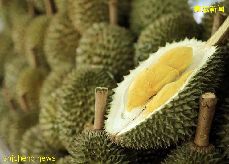 今年最后一波榴梿季!邻国大丰收,下个月猫山王或降至12元/KG