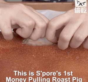 生日蛋糕吐鈔票？已經Out了！新加坡現在流行生日烤乳豬吐鈔票