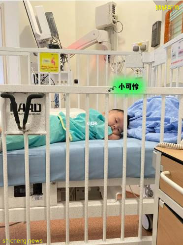 “懷大寶3個月做乳癌手術，小寶6個月中新冠入院高燒不退！”我在新加坡的這些年