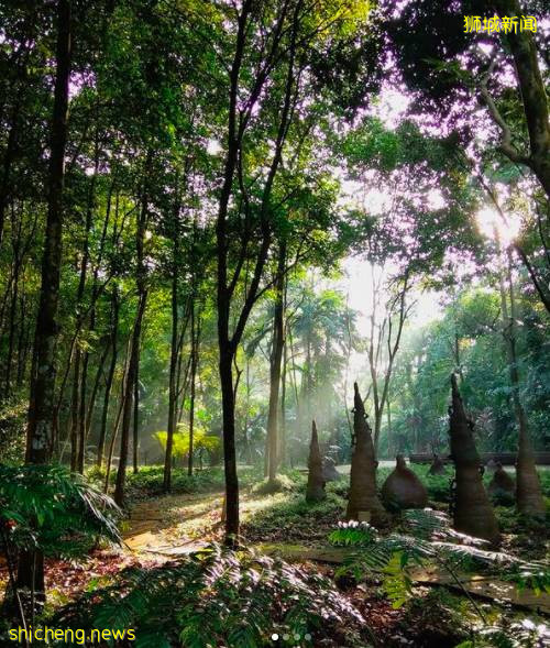 解封後回歸社交生活，有哪些好玩的活動和地點值得一逛？一起來看看吧