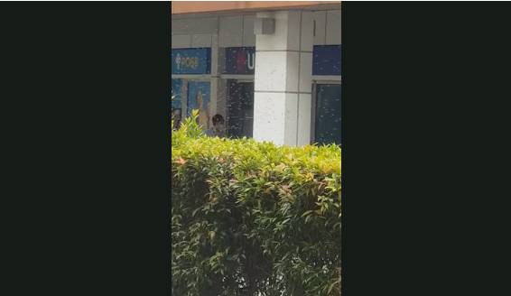 新加坡地铁口突现蜂群,商场封锁、紧急驱蜂、吓坏路人