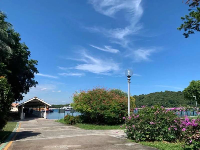 【攻略】$15跳島遊 1天帶你玩轉新加坡南部島嶼