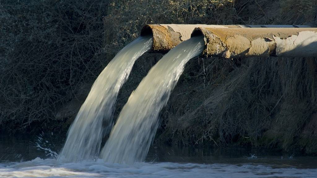 日本今天正式决定排核废水入海!将大规模导致海鲜变异、人癌变!新加坡和中国网友怒了