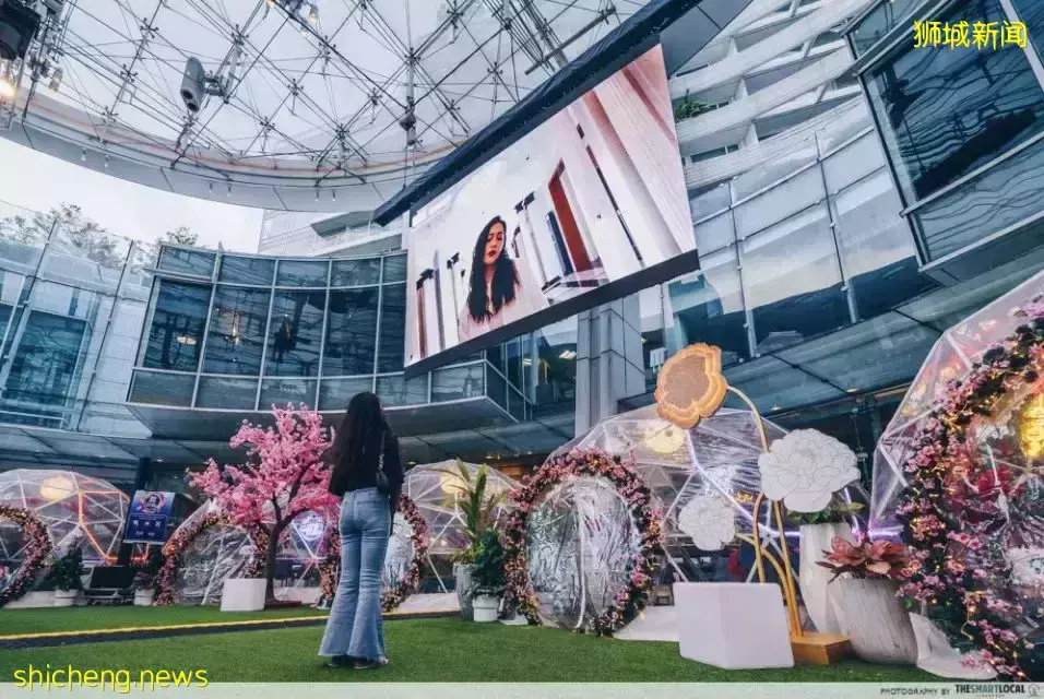 全岛过年实拍！这里到底是新加坡，还是中国