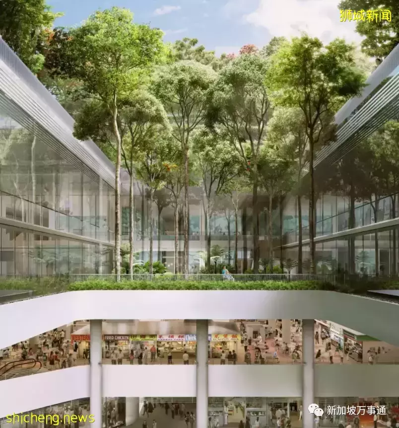 心想狮城 新加坡50年向海要20％的国土面积