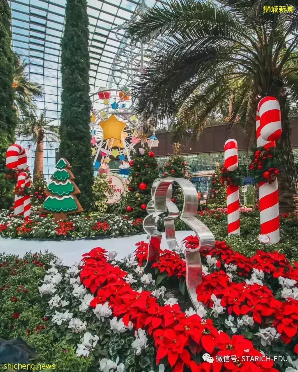 聖誕打卡,新年焰火!平安夜和跨年夜的最佳觀景點