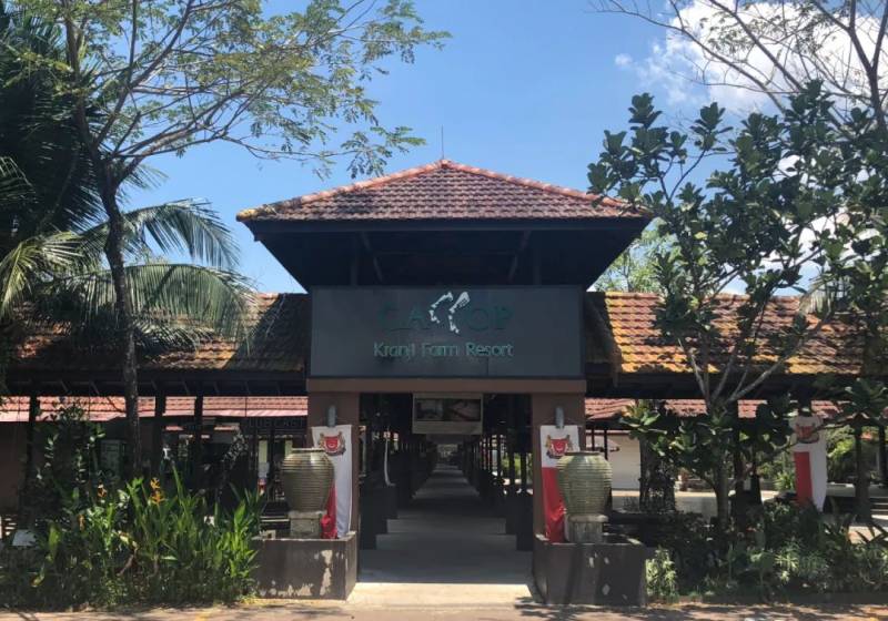 新加坡22家度假酒店周末小住！遊艇、樹屋和海底景色美不勝收，折扣攻略來啦