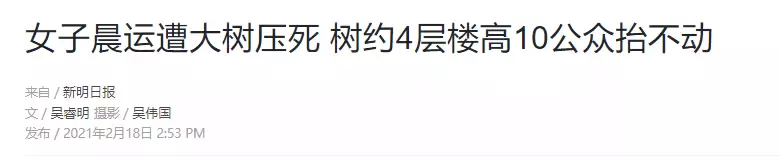 新加坡大树又双叒叕倒了!险砸5岁女孩,家长一定要注意