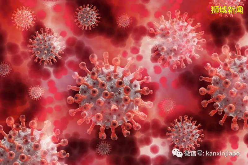 新加坡专家:新冠在空气传播的概率比水痘低