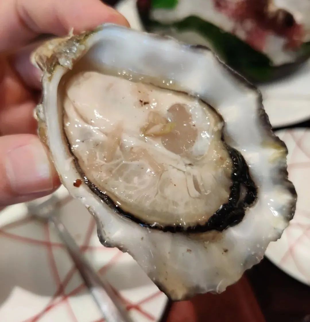 金沙10周年，新增了这么多圣诞打卡地点！