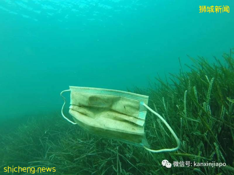 疫情期间乱丢口罩手套，严重污染了环境