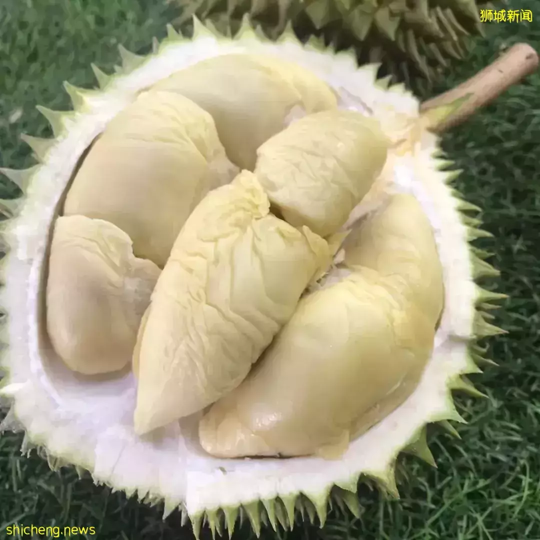 新加坡榴梿季来了啊啊啊!本地人吃榴梿秘籍,这7家最便宜