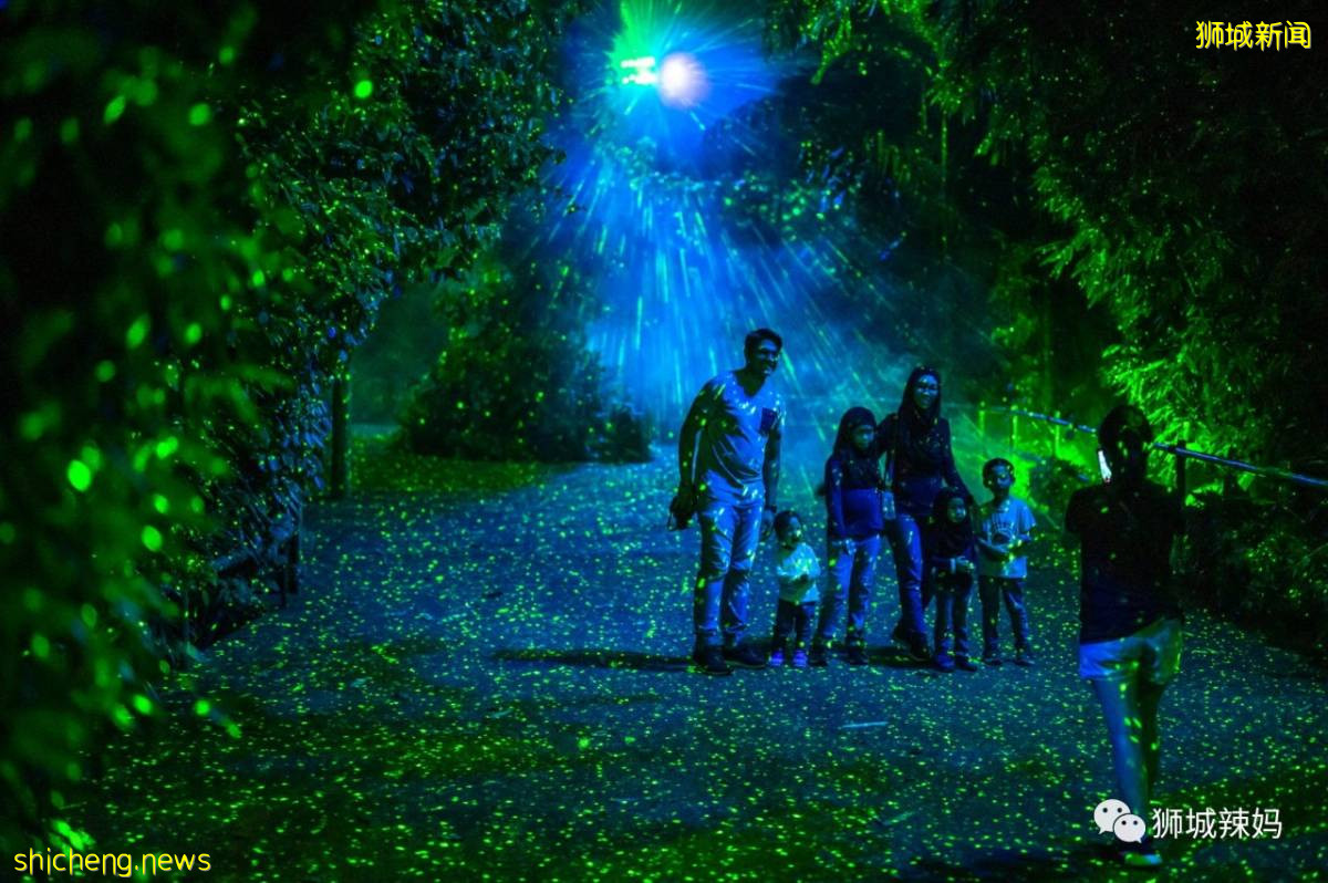 低至S$8！就3天！新加坡動物園“幻光雨林之夜”強勢回歸，亞洲第一夜遊體驗
