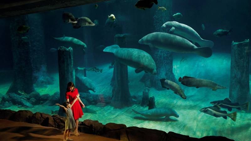 本周折扣！耐克6折，圣淘沙缆车3新币，电商开启双十大促