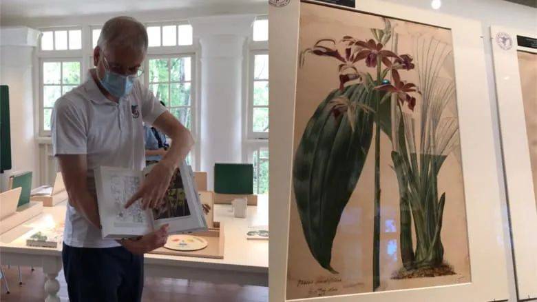 溜娃新去處!新加坡植物園推出新景點!COMO小樹林、巨型波羅蜜、探秘館、藝廊開放啦