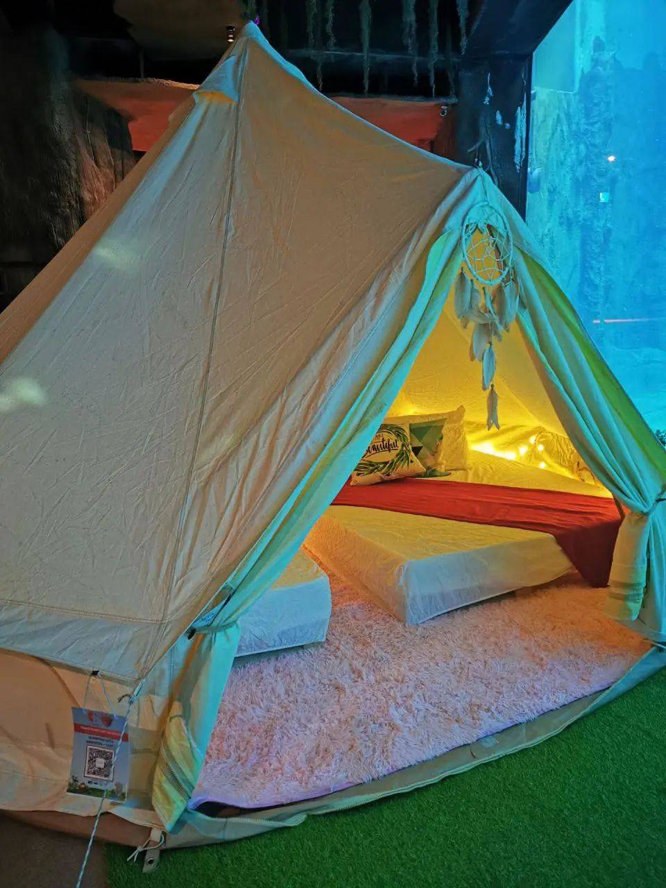 新加坡河川動物園有豪華帳篷過夜啦!本周最新活動彙總