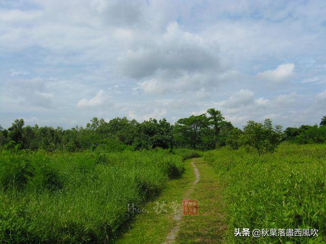 下月起，可以飞去新加坡旅游了。这些冷门免费地方值得一去