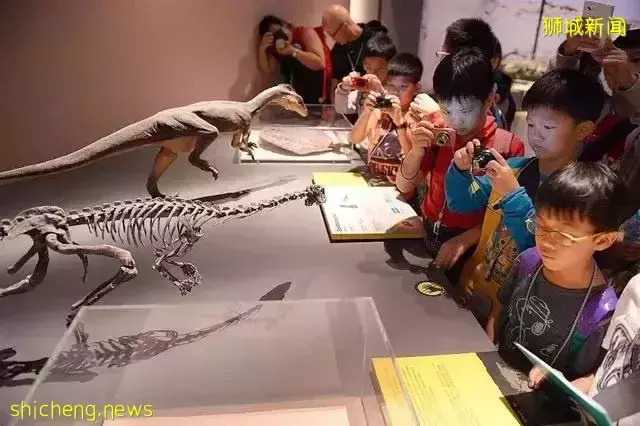 新加坡教改：取消中学分流，人才保底不封顶 