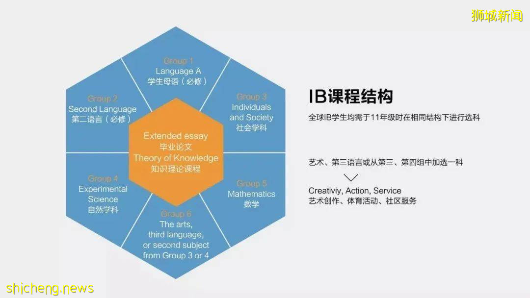 考試動態 2021年5月IBDP大考成績放榜,新加坡學校成績均高于全球水平
