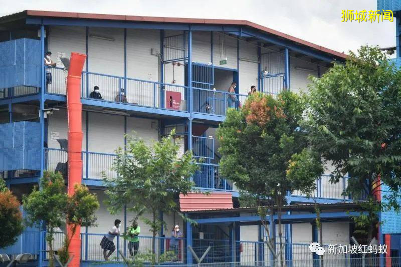 咦,不是检测完了吗,为何新加坡客工宿舍还有新病例