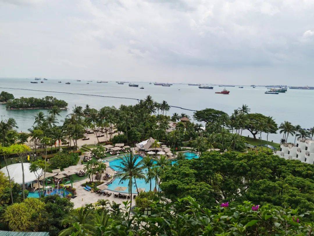 吃土也要去!1家3口嗨翻新加坡五星級酒店,私人沙灘、樹屋、兒童俱樂部…太值了