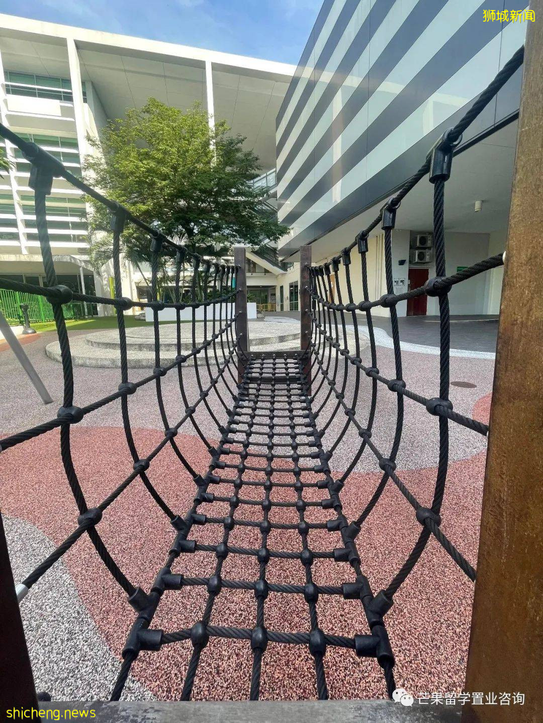 新加坡这两所超人气国际学校,为何独受明星、高管家长青睐