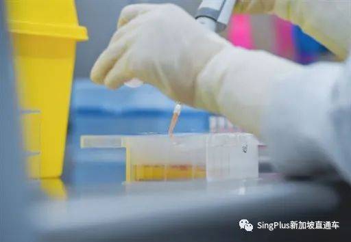 新加坡核酸檢測降價有望？坡島人民喜大普奔